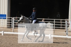 HCWE-Sept-Sun-Dressage-0247-3