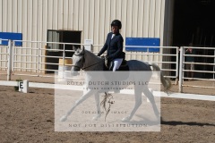 HCWE-Sept-Sun-Dressage-0248-3