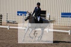 HCWE-Sept-Sun-Dressage-0249-3