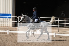 HCWE-Sept-Sun-Dressage-0251-3