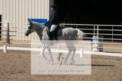 HCWE-Sept-Sun-Dressage-0252-3