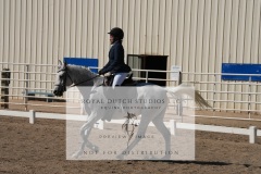 HCWE-Sept-Sun-Dressage-0253-3