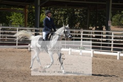 HCWE-Sept-Sun-Dressage-0254-3