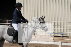 HCWE-Sept-Sun-Dressage-0255-3