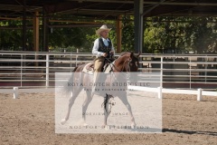 HCWE-Sept-Sun-Dressage-0256-3