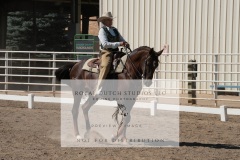 HCWE-Sept-Sun-Dressage-0258-3