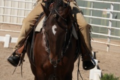 HCWE-Sept-Sun-Dressage-0259-3