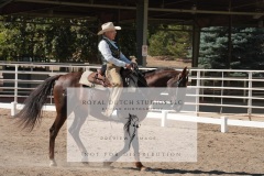 HCWE-Sept-Sun-Dressage-0261-3