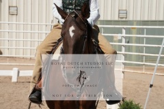 HCWE-Sept-Sun-Dressage-0263-3