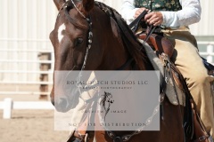 HCWE-Sept-Sun-Dressage-0264-3
