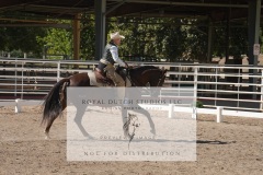 HCWE-Sept-Sun-Dressage-0265-3