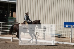HCWE-Sept-Sun-Dressage-0266-3
