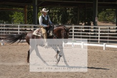 HCWE-Sept-Sun-Dressage-0267-3