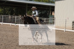HCWE-Sept-Sun-Dressage-0269-3