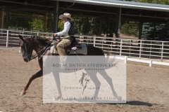 HCWE-Sept-Sun-Dressage-0270-3