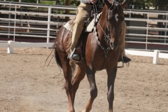 HCWE-Sept-Sun-Dressage-0272-3