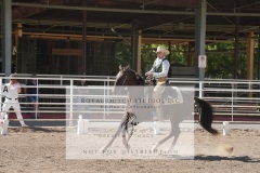 HCWE-Sept-Sun-Dressage-0273-3