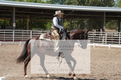 HCWE-Sept-Sun-Dressage-0275-3