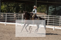 HCWE-Sept-Sun-Dressage-0277-3