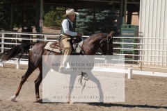 HCWE-Sept-Sun-Dressage-0279-3