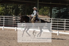 HCWE-Sept-Sun-Dressage-0283-3