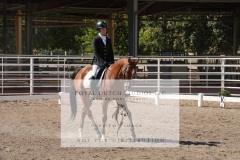 HCWE-Sept-Sun-Dressage-0288-3