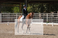 HCWE-Sept-Sun-Dressage-0289-3
