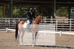 HCWE-Sept-Sun-Dressage-0290-3
