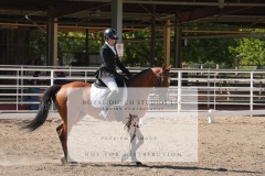 HCWE-Sept-Sun-Dressage-0292-3