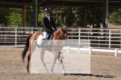 HCWE-Sept-Sun-Dressage-0293-3