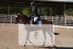 HCWE-Sept-Sun-Dressage-0294-3