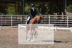 HCWE-Sept-Sun-Dressage-0297