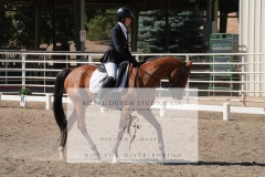 HCWE-Sept-Sun-Dressage-0298