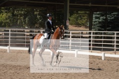 HCWE-Sept-Sun-Dressage-0299