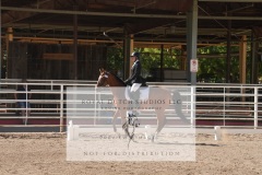HCWE-Sept-Sun-Dressage-0302