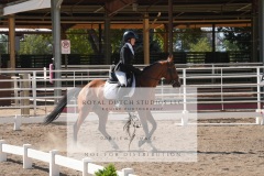 HCWE-Sept-Sun-Dressage-0303