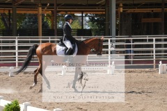 HCWE-Sept-Sun-Dressage-0304