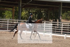 HCWE-Sept-Sun-Dressage-0305