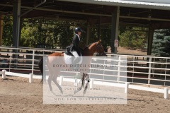 HCWE-Sept-Sun-Dressage-0306