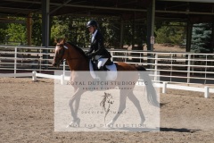 HCWE-Sept-Sun-Dressage-0307