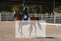 HCWE-Sept-Sun-Dressage-0308