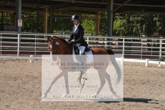 HCWE-Sept-Sun-Dressage-0309