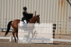 HCWE-Sept-Sun-Dressage-0311