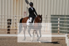 HCWE-Sept-Sun-Dressage-0312