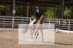 HCWE-Sept-Sun-Dressage-0317