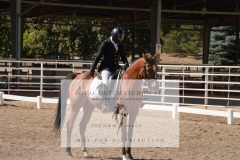 HCWE-Sept-Sun-Dressage-0319