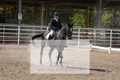 HCWE-Sept-Sun-Dressage-0320