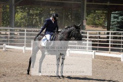 HCWE-Sept-Sun-Dressage-0321