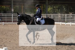 HCWE-Sept-Sun-Dressage-0324