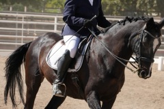 HCWE-Sept-Sun-Dressage-0325
